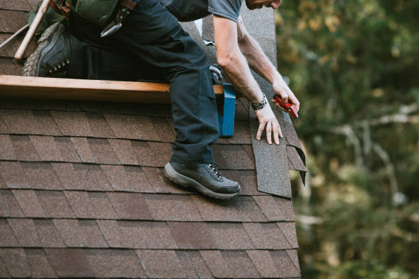 Roof Gutter Cleaning in Slater, MO