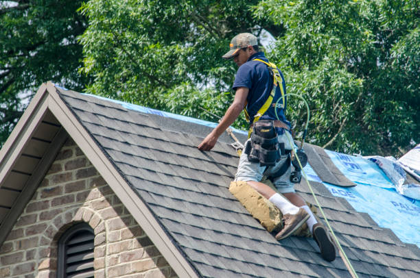 Best Storm Damage Roof Repair  in Slater, MO